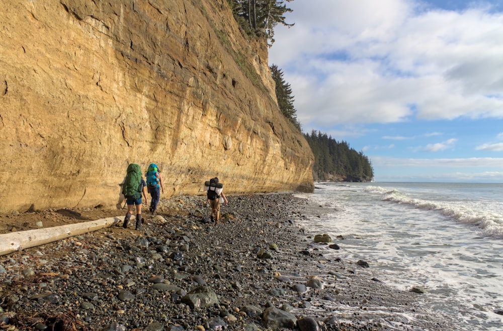 um grupo de pessoas caminhando ao longo de uma praia rochosa