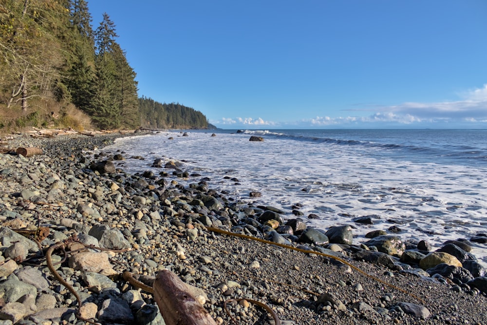 a rocky beach next to the ocean with a log in the foreground