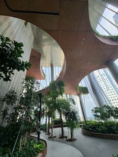 A spacious indoor garden area with various potted plants and trees. The design features curved wooden ceiling panels and large glass windows that allow natural light to flood the area. There are plant beds lining a winding path, creating a serene and natural environment within a modern architectural setting.