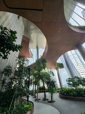 A spacious indoor garden area with various potted plants and trees. The design features curved wooden ceiling panels and large glass windows that allow natural light to flood the area. There are plant beds lining a winding path, creating a serene and natural environment within a modern architectural setting.