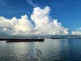 Large cargo ships float on calm waters under a vast, blue sky filled with fluffy, white clouds. The horizon is visible in the distance, with a faint outline of land.