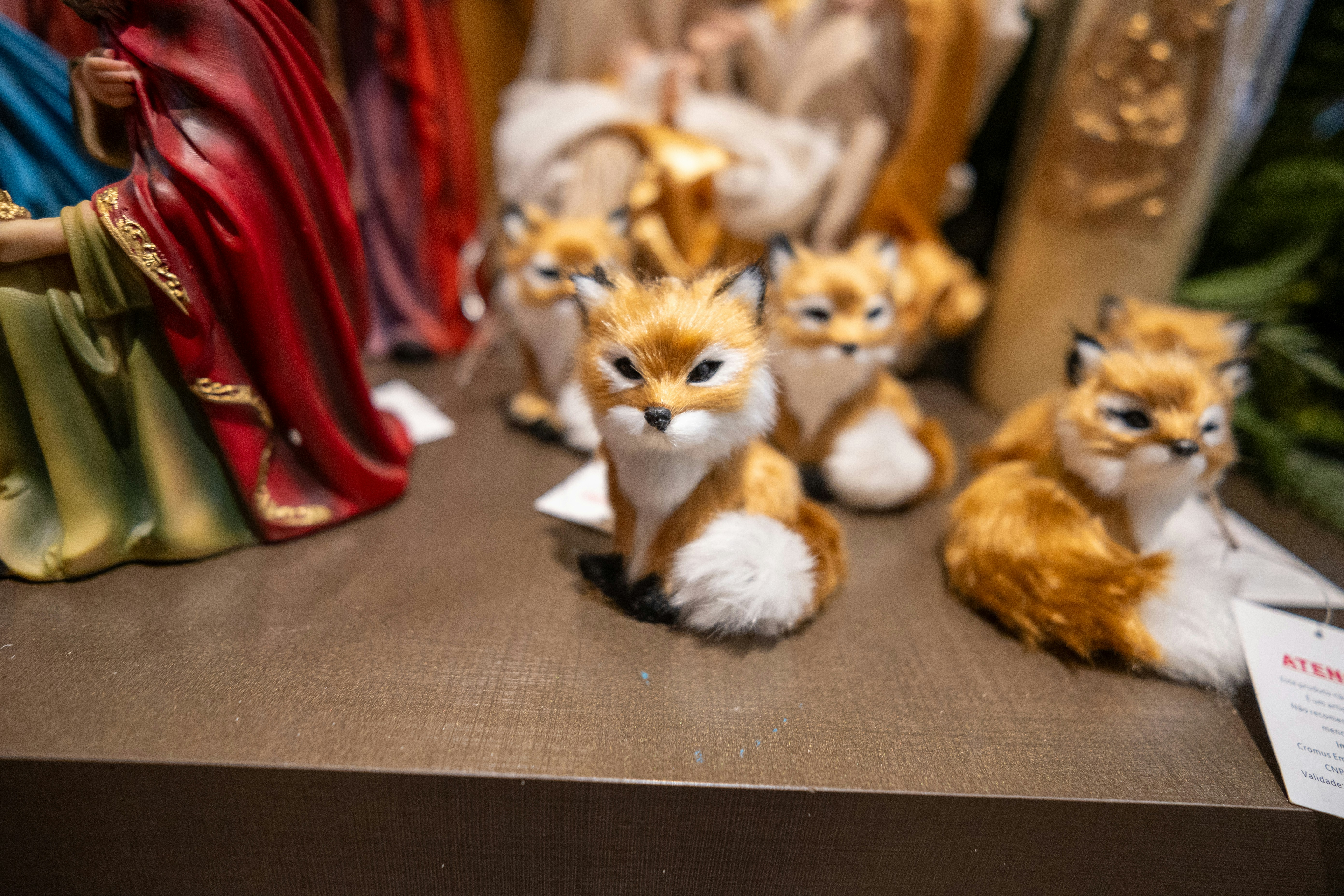 Mischievous Fox Smittie