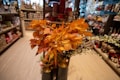 A bouquet of vibrant orange and yellow autumn leaves is displayed prominently in a shop setting. Shelves filled with various items like tins, ornaments, and decorative objects can be seen in the background, suggesting a home decor or gift store.