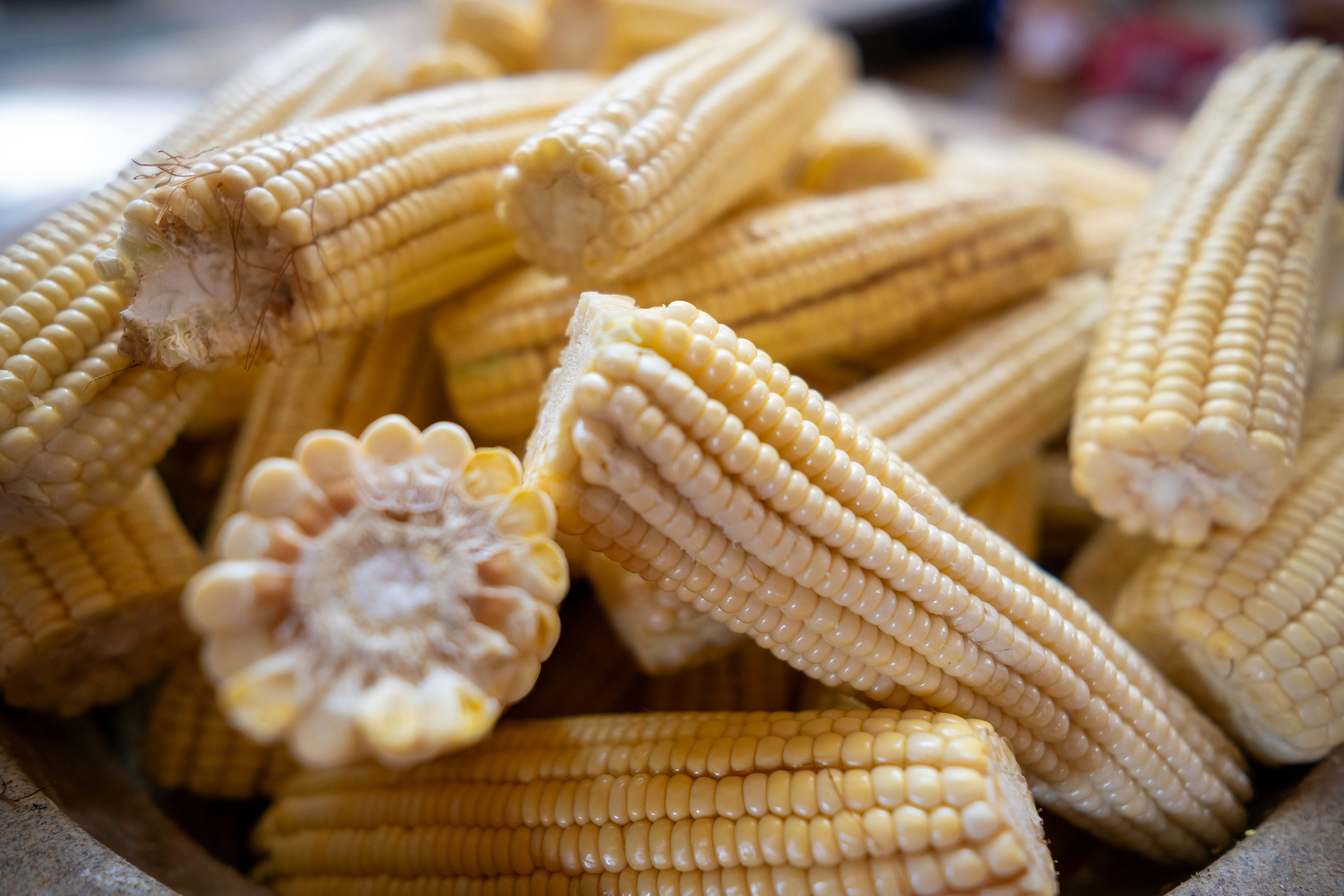 Deliciosos Elotes Frescos