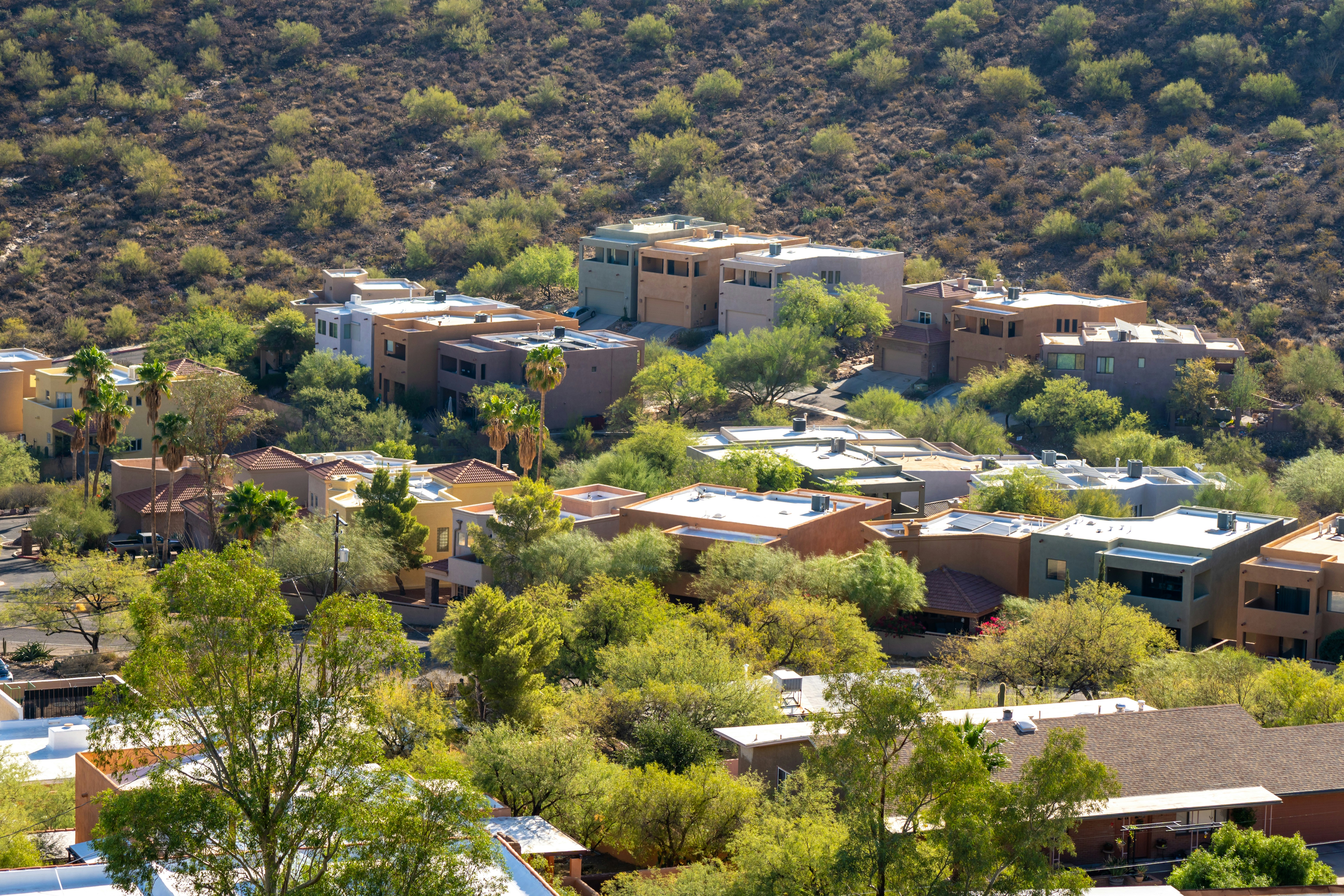a view of a hillside with houses and trees, 