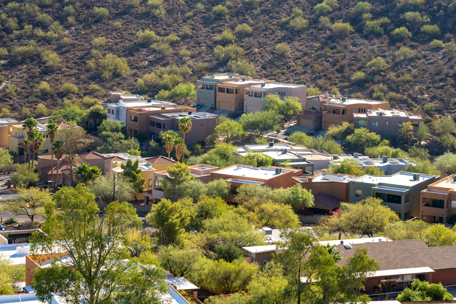 Desert homes tucked into a saguaro-covered hillside