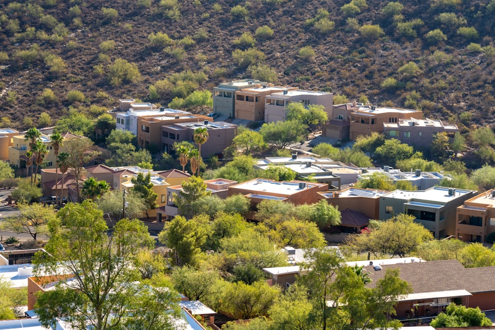a view of a hillside with houses and trees