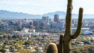 A cityscape with a foreground featuring large cacti. The skyline includes various buildings and skyscrapers set against a background of distant mountains under a clear sky.