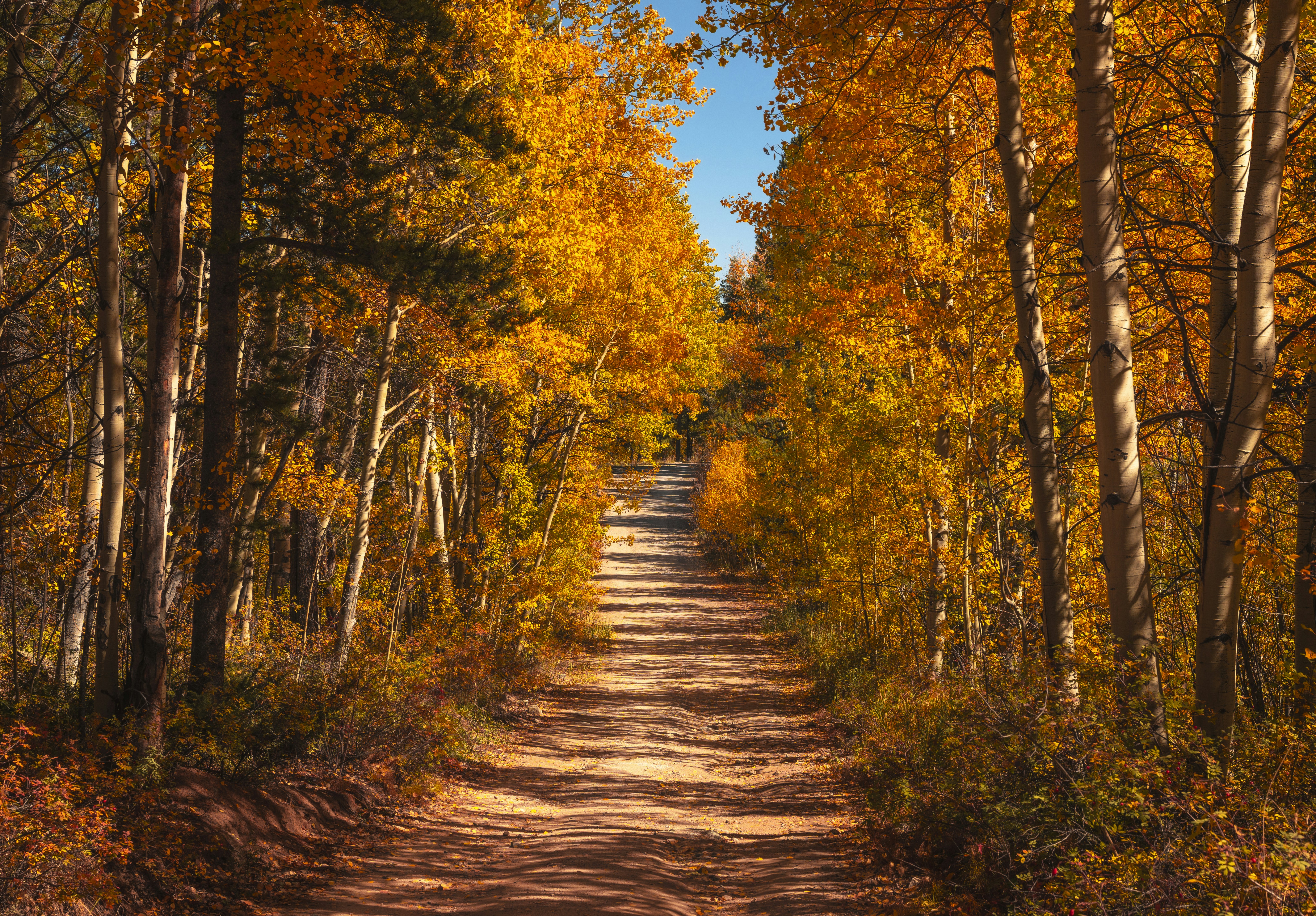 Why Fall Is the Smart Time to Launch Your PropTech MVP