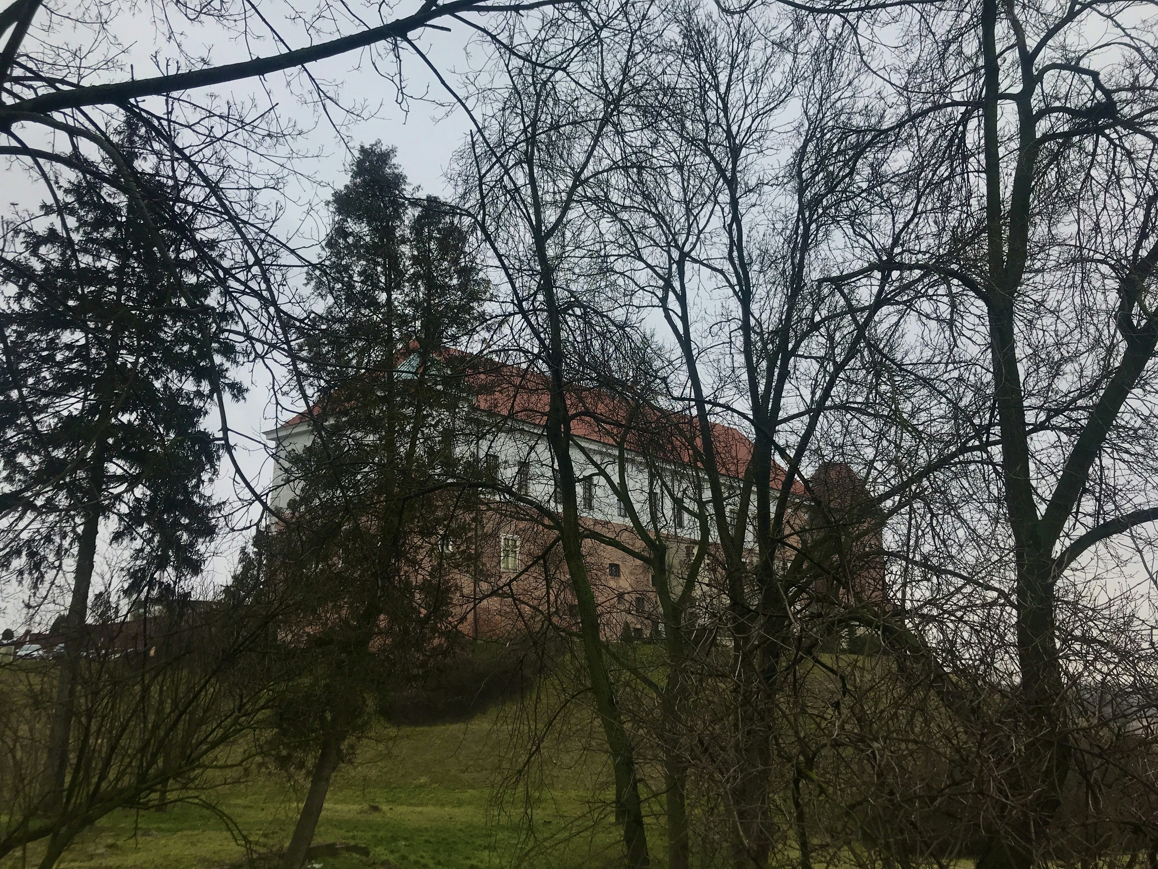 Photo of Sandomierz