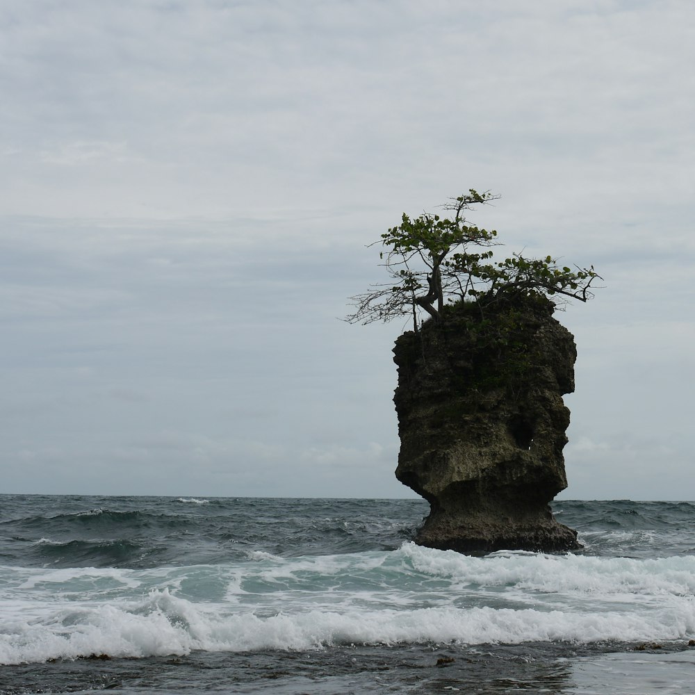 a lone tree sitting on top of a rock in the ocean