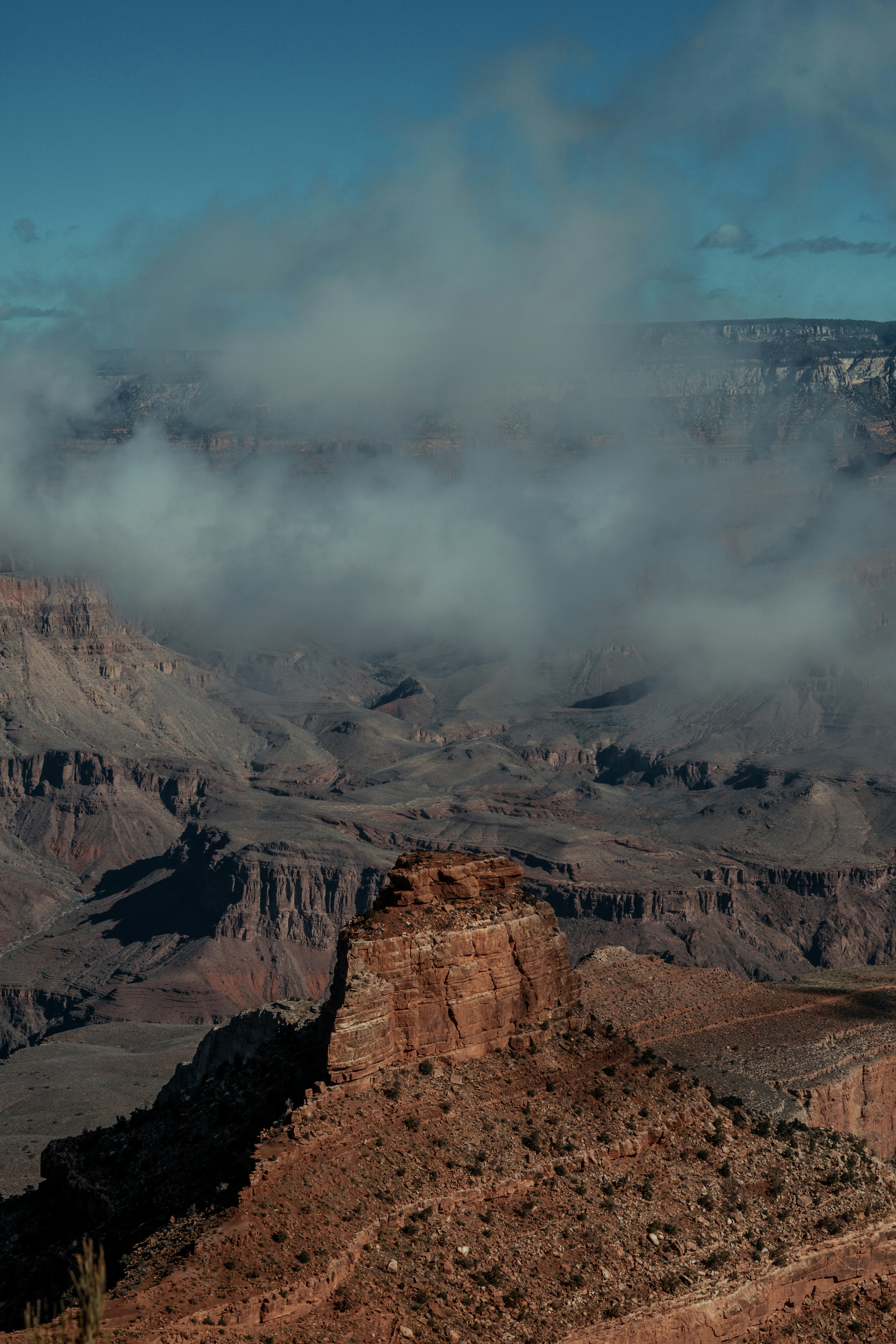 Photo by francescalbert93