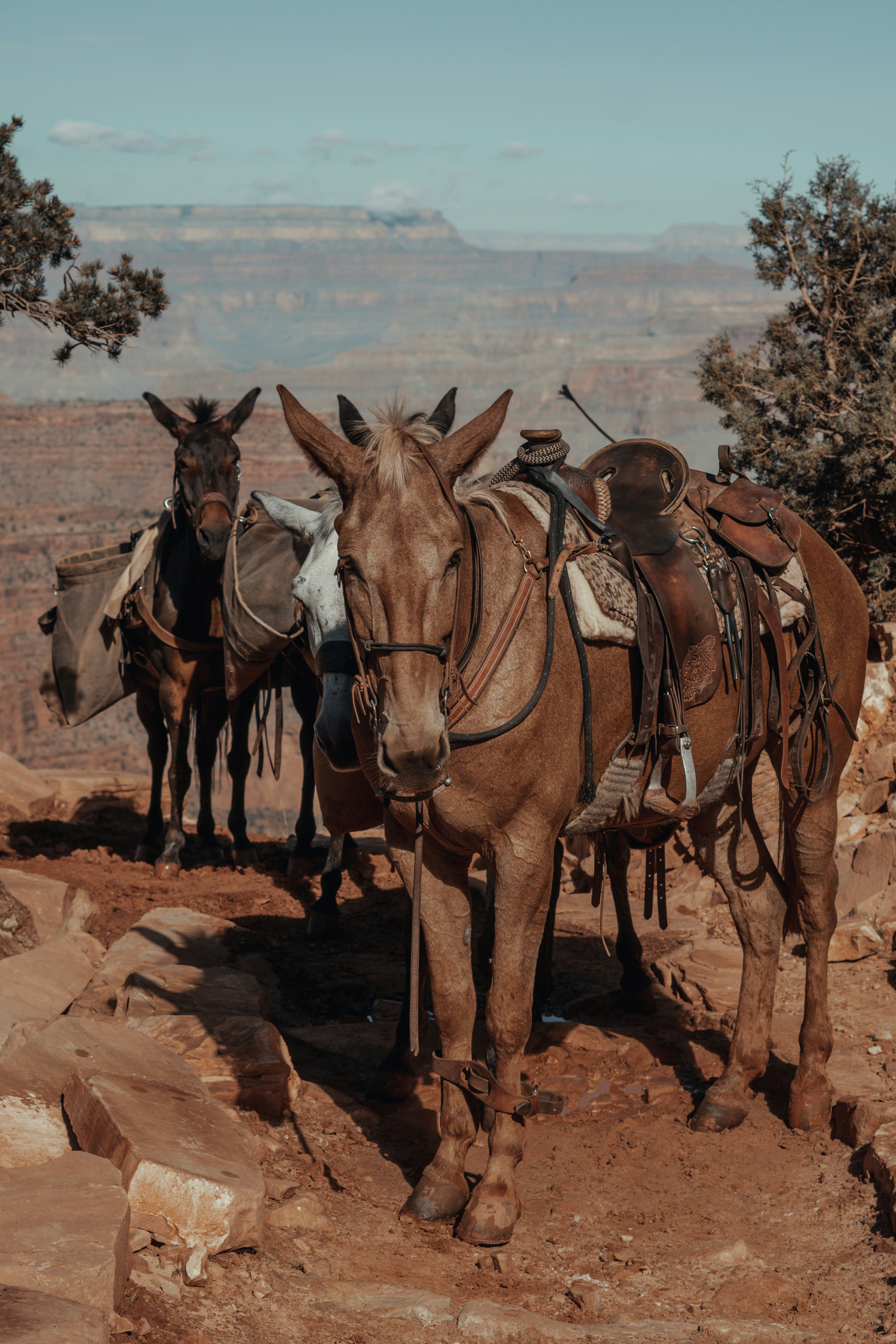 Photo by francescalbert93