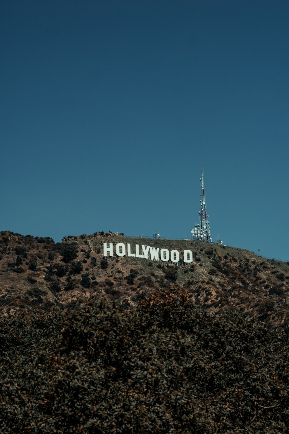 the hollywood sign on top of a hill