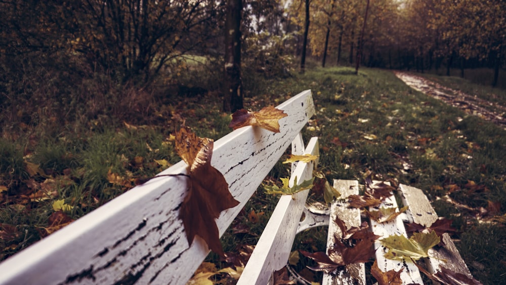 a wooden bench sitting in the middle of a forest