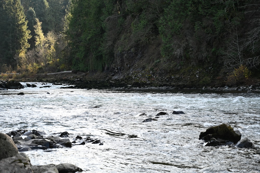 a man standing on a rock in the middle of a river