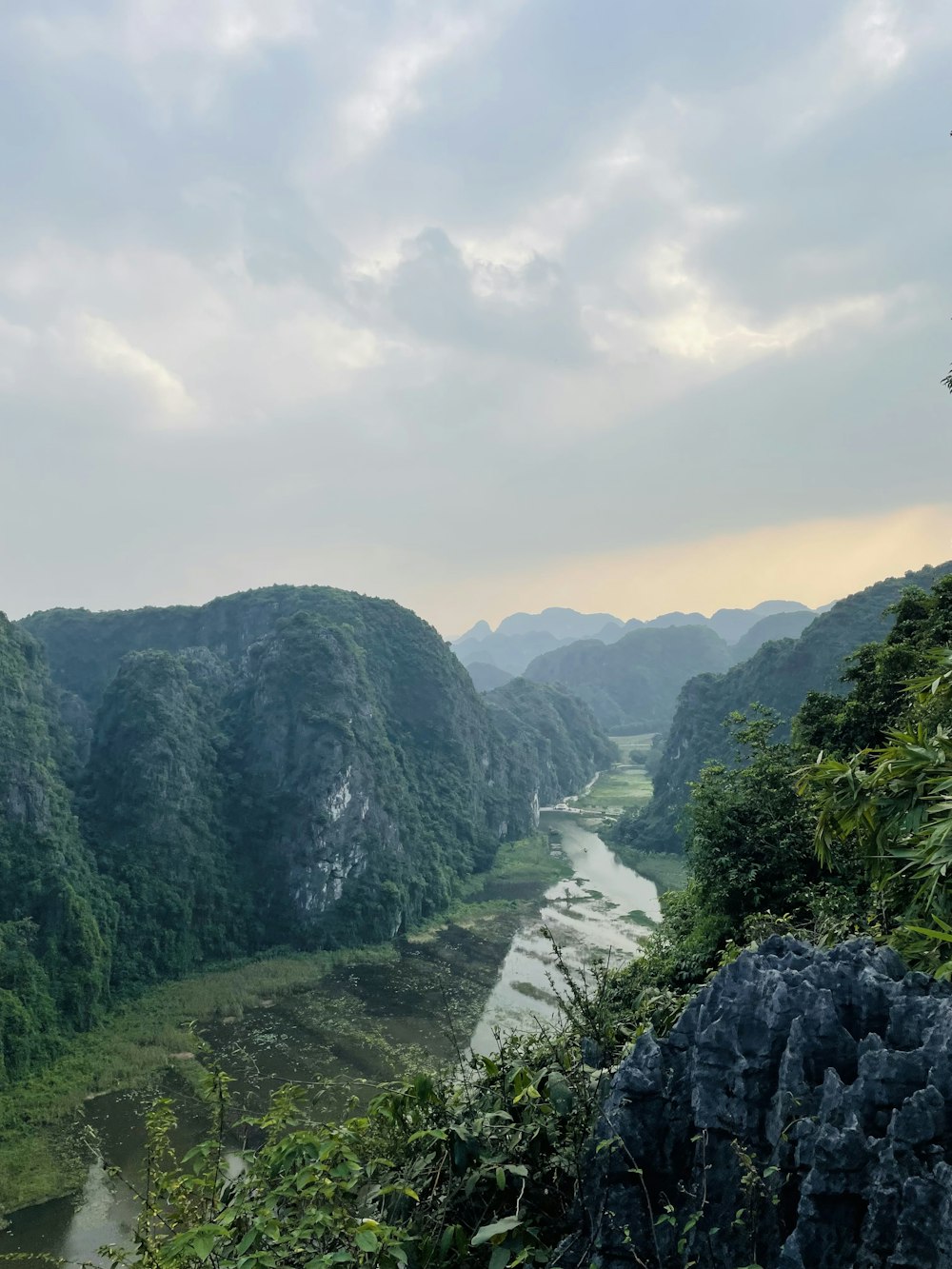 a river running through a lush green forest