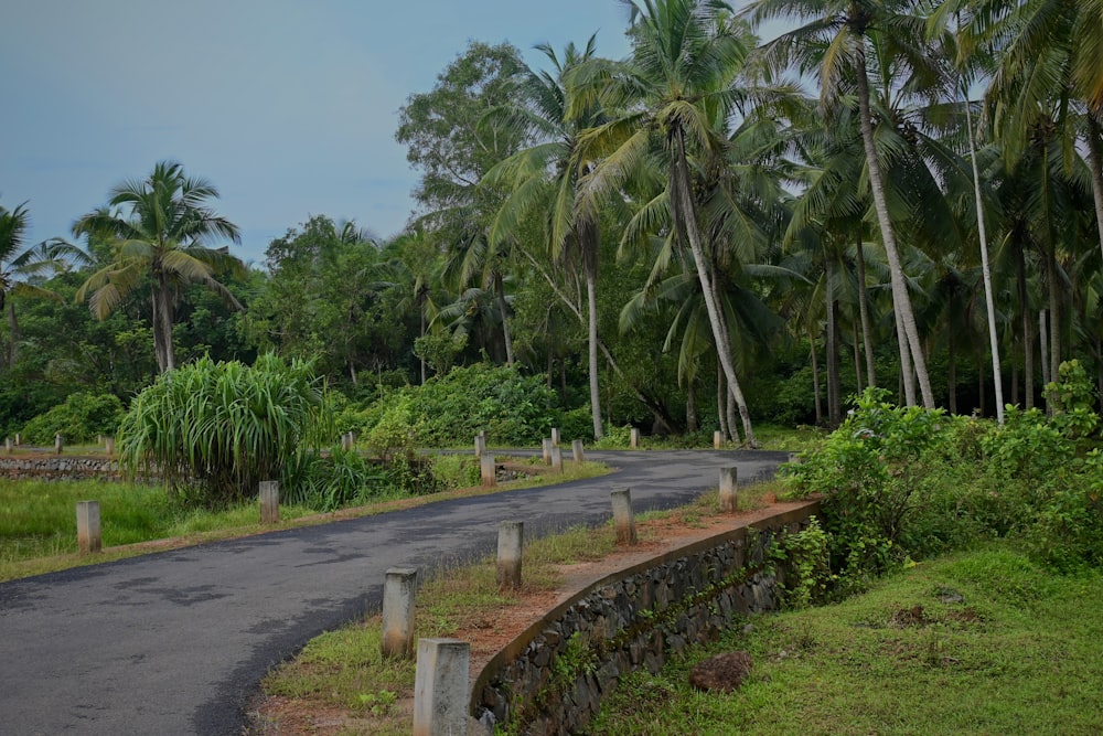 a winding road surrounded by palm trees on a cloudy day