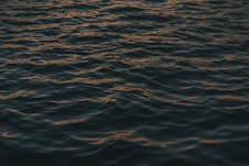 a body of water that has some waves on it