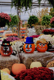 a bunch of pumpkins that are sitting on some hay