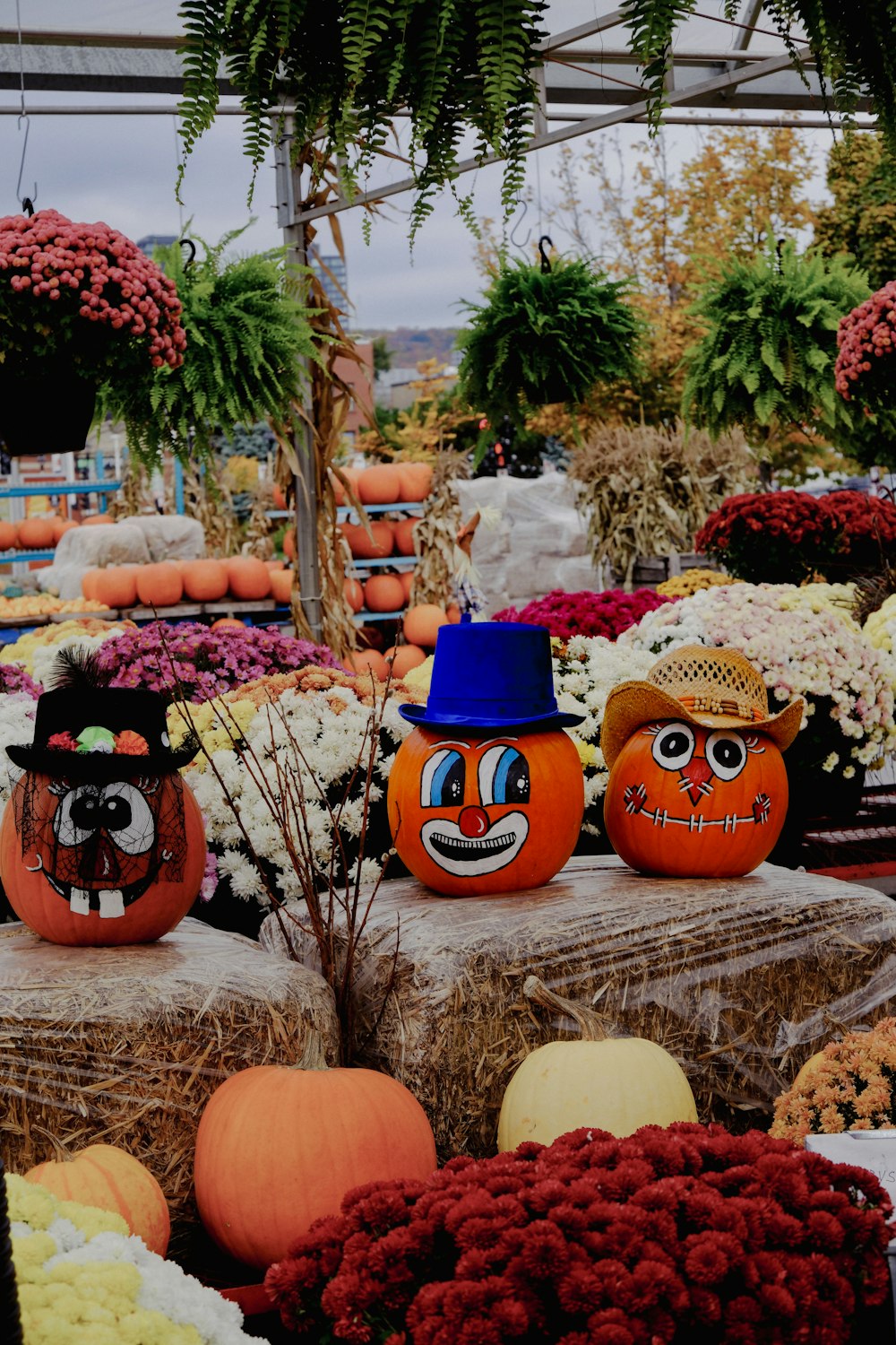 a bunch of pumpkins that are sitting on some hay