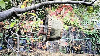 A rustic, metal faucet is attached to an old, weathered wooden bucket hanging from a tree branch. The background features a variety of green and red leaves with a mesh fence visible, suggesting an outdoor garden setting.