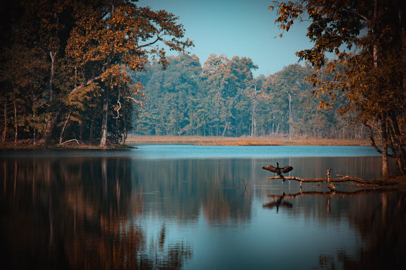 Chitwan National Park Nepal grasslands