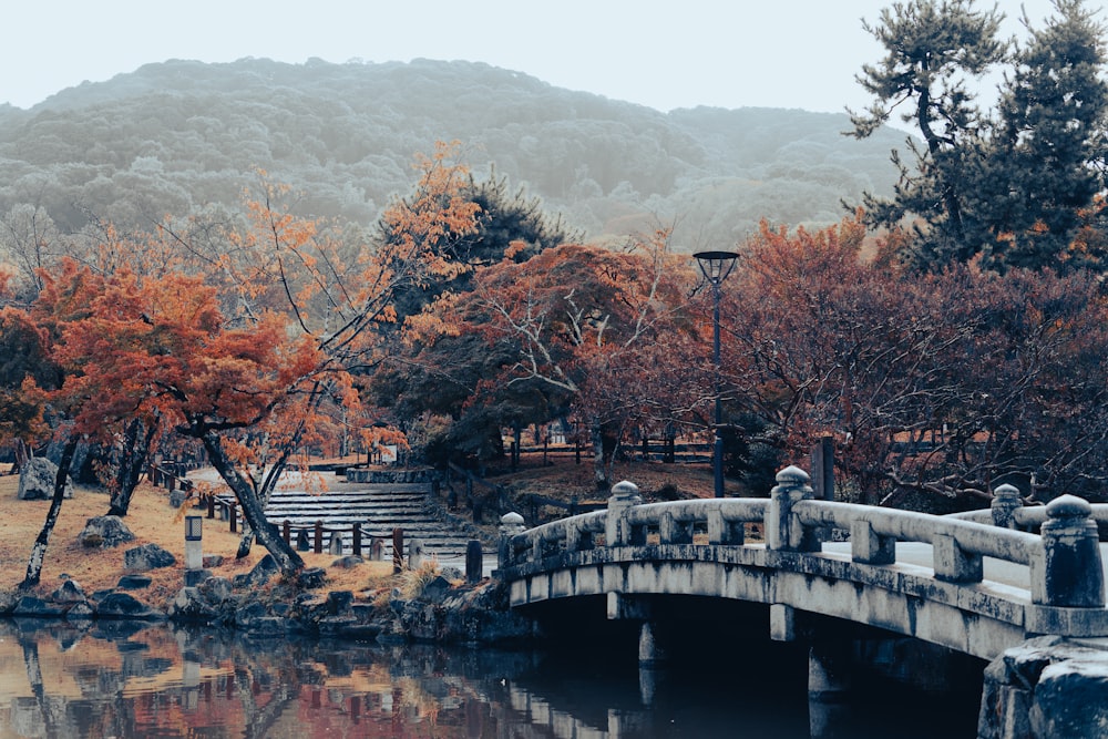 a bridge over a small pond in a park