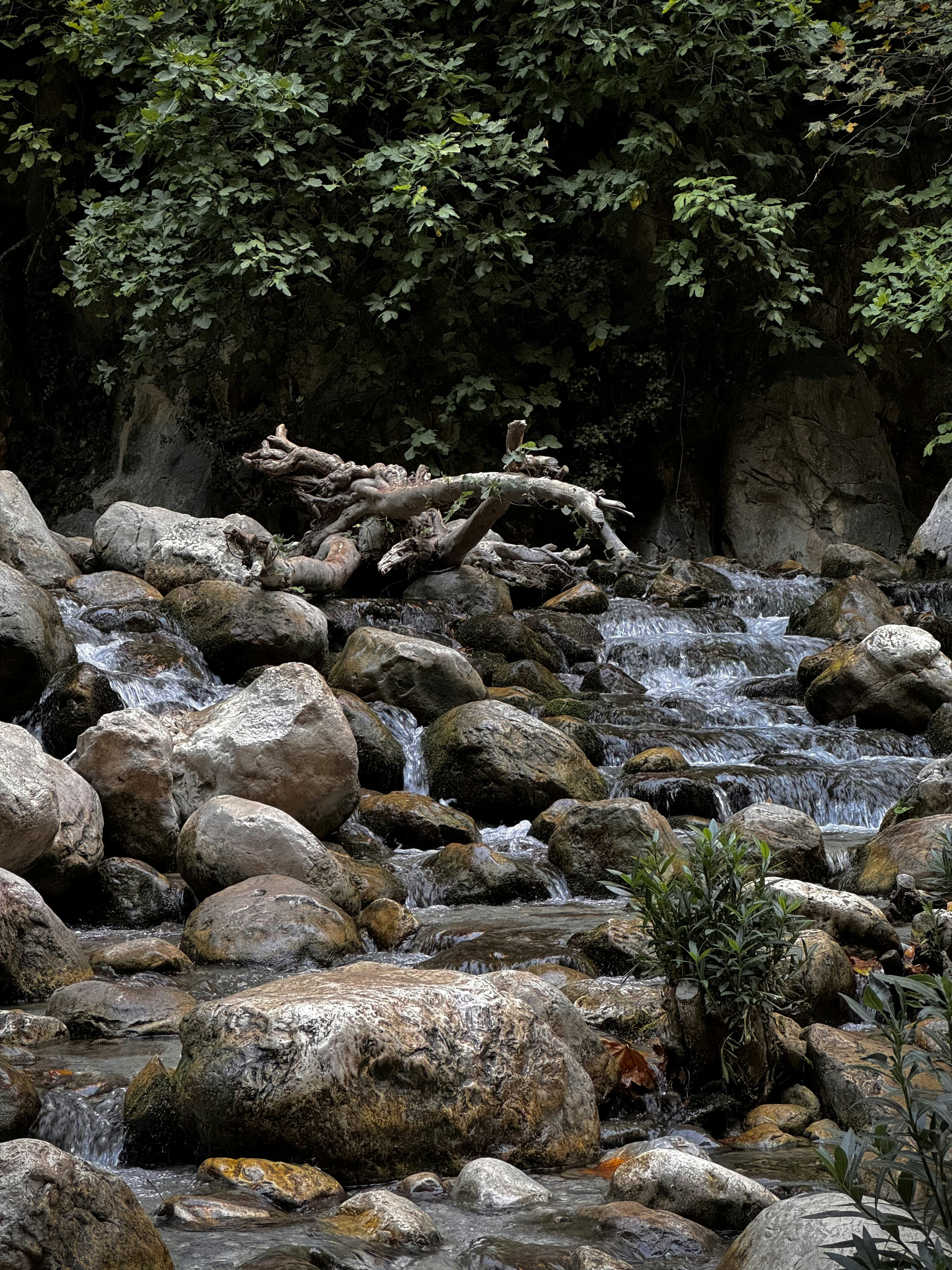 Photo by mrparalloid