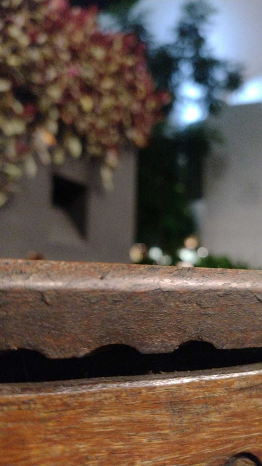 a close up of a piece of wood with a plant in the background