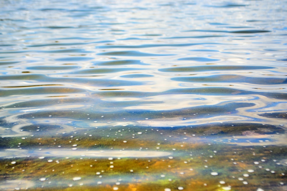 a close up of the water surface of a lake