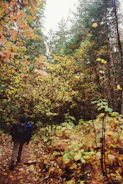 A couple hiking along a forest trail with backpacks.