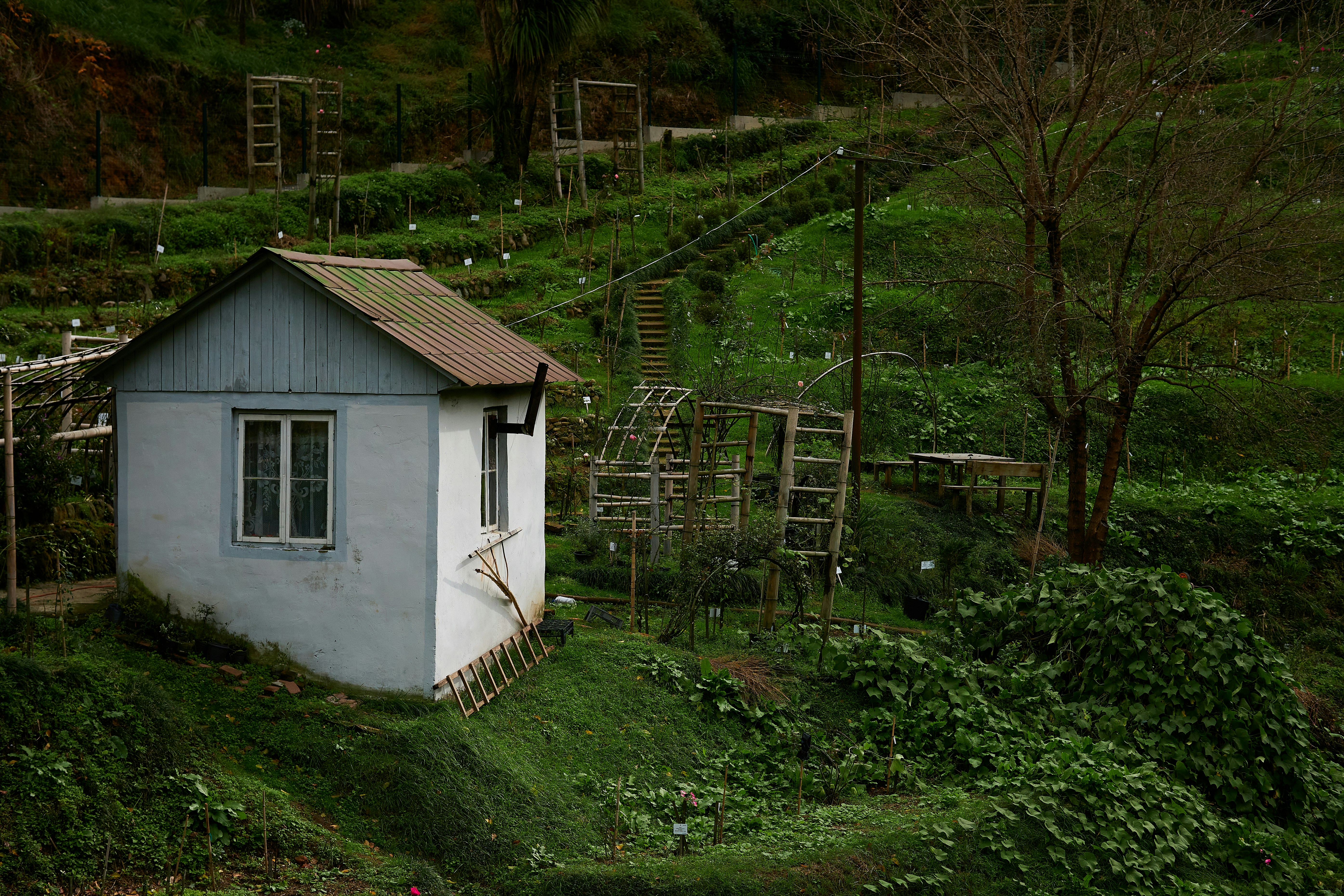 a small house sitting on top of a lush green hillside