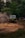 A rugged, off-road vehicle is navigating a muddy terrain surrounded by dense greenery. Dust is kicked up by the tires, creating a dynamic scene of adventure and exploration. The vehicle is prominently marked with decals and appears to be in motion, showcasing its off-road capabilities.