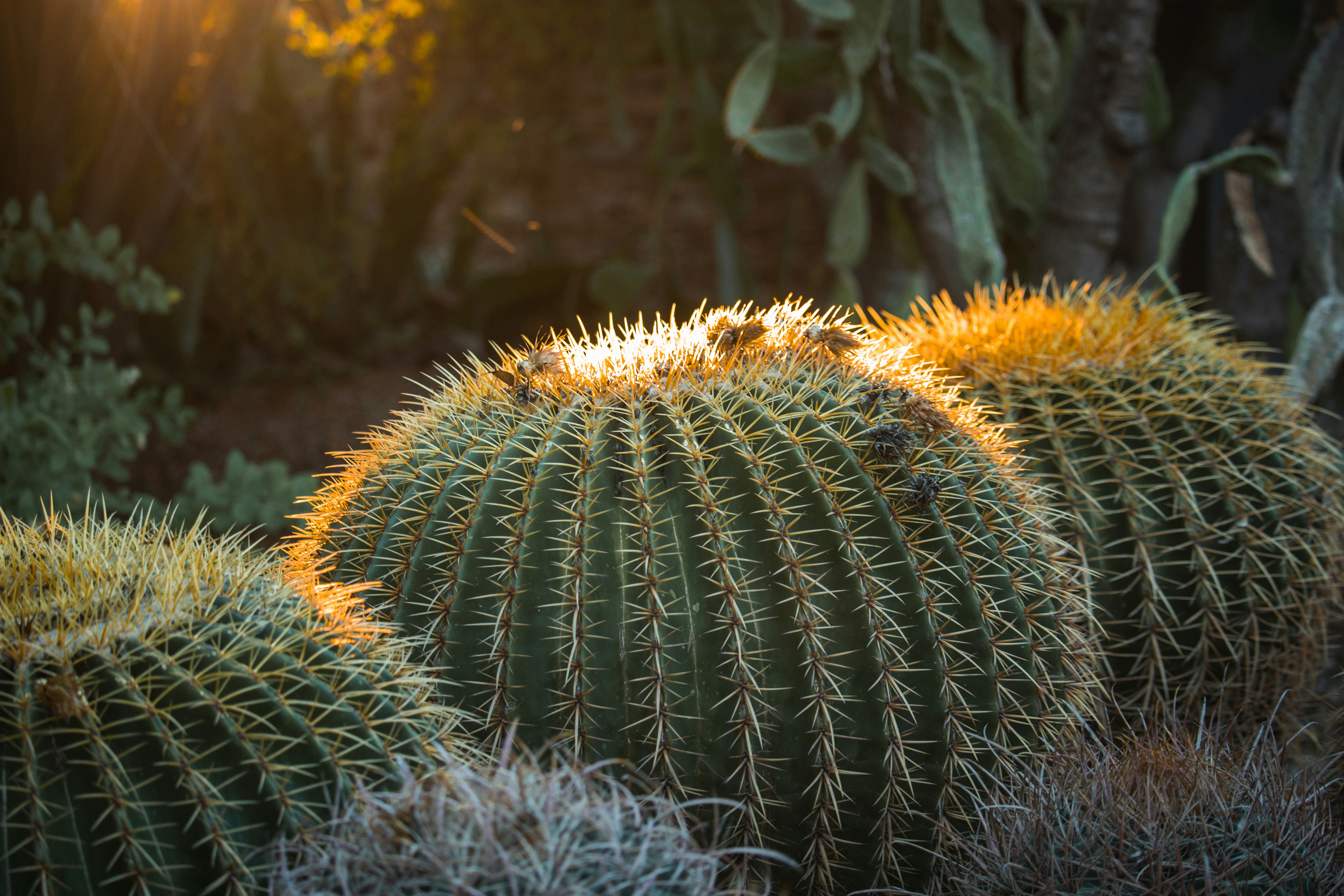 Photo by brice_cooper18