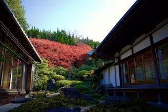 A serene garden scene with smiling elders and caring healthcare professionals sharing a warm moment.