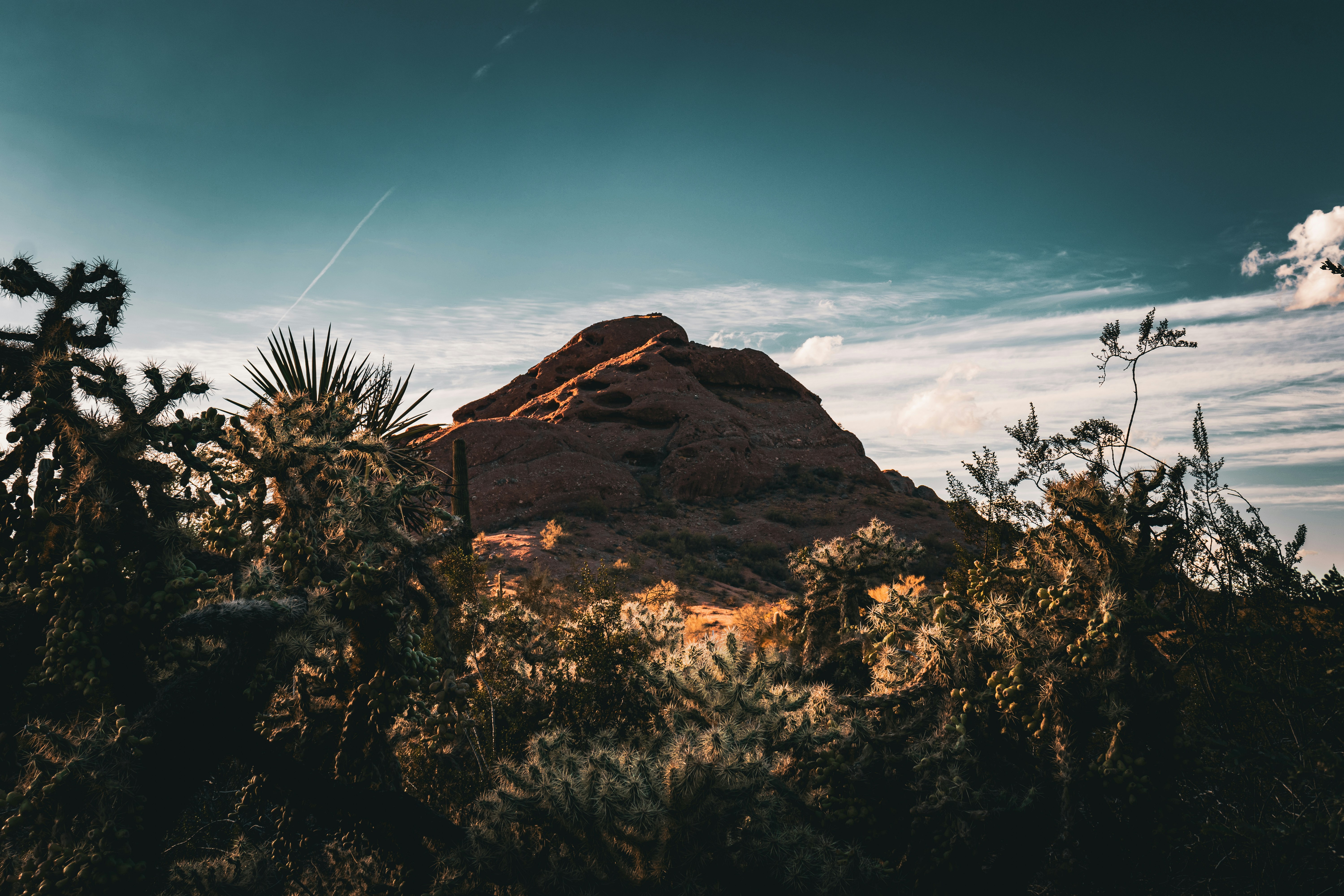 Photo by brice_cooper18