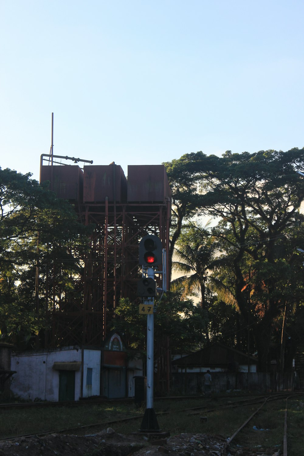 a stop light sitting in the middle of a forest