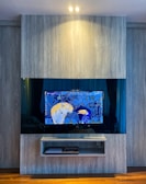 A modern 65-inch smart TV showing a nature documentary.