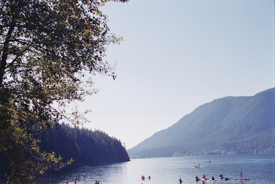 A serene lake scene with people engaging in water activities such as swimming and paddleboarding. The foreground features a tree with green leaves, while pine-covered mountains border the lake in the background. The sky is clear and blue, adding to the calm atmosphere.