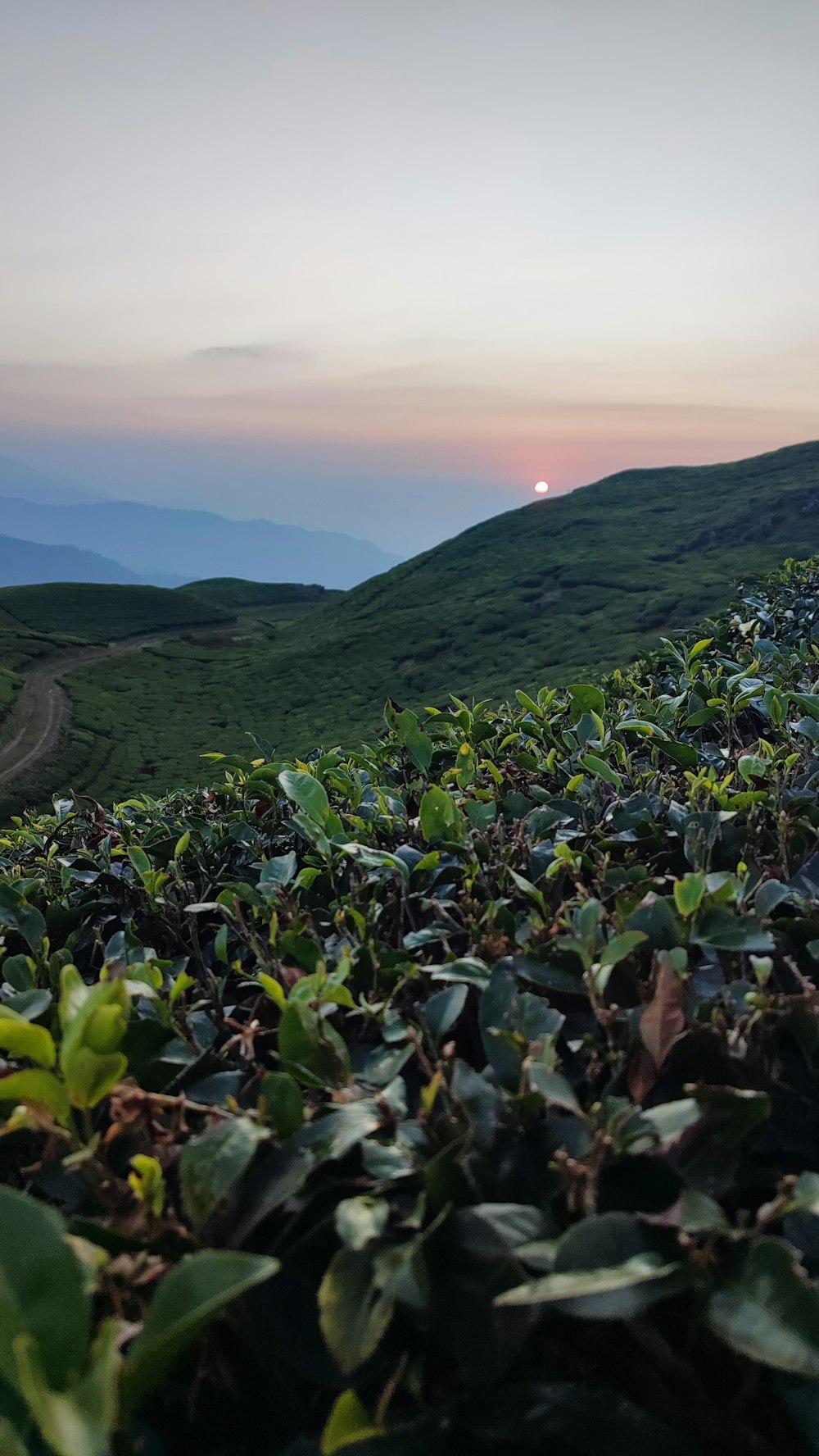 the sun is setting over a green mountain