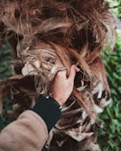 Close-up of hands gripping a sturdy tree branch covered in moss.
