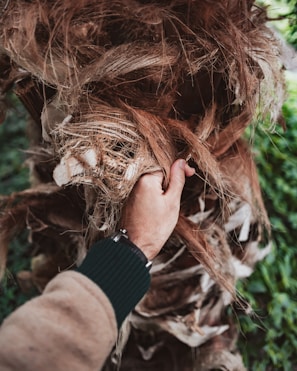 A close-up of hands gripping tree bark, showing the texture and life of the tropical tree.