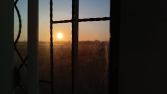Sunset seen through a large window revealing a peaceful garden with winding paths