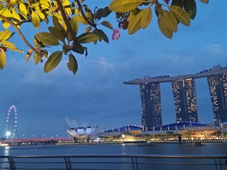 A nighttime cityscape with a prominent futuristic building featuring three towers connected by a skypark, illuminated with lights. In the foreground, tree branches with green leaves hang over a body of water. A large Ferris wheel and a unique flower-shaped structure are also visible in the background.