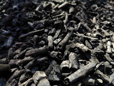 a pile of wood that is sitting on the ground