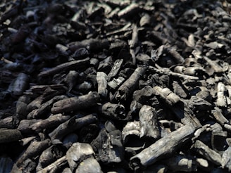 A pile of biochar being spread around the garden soil.