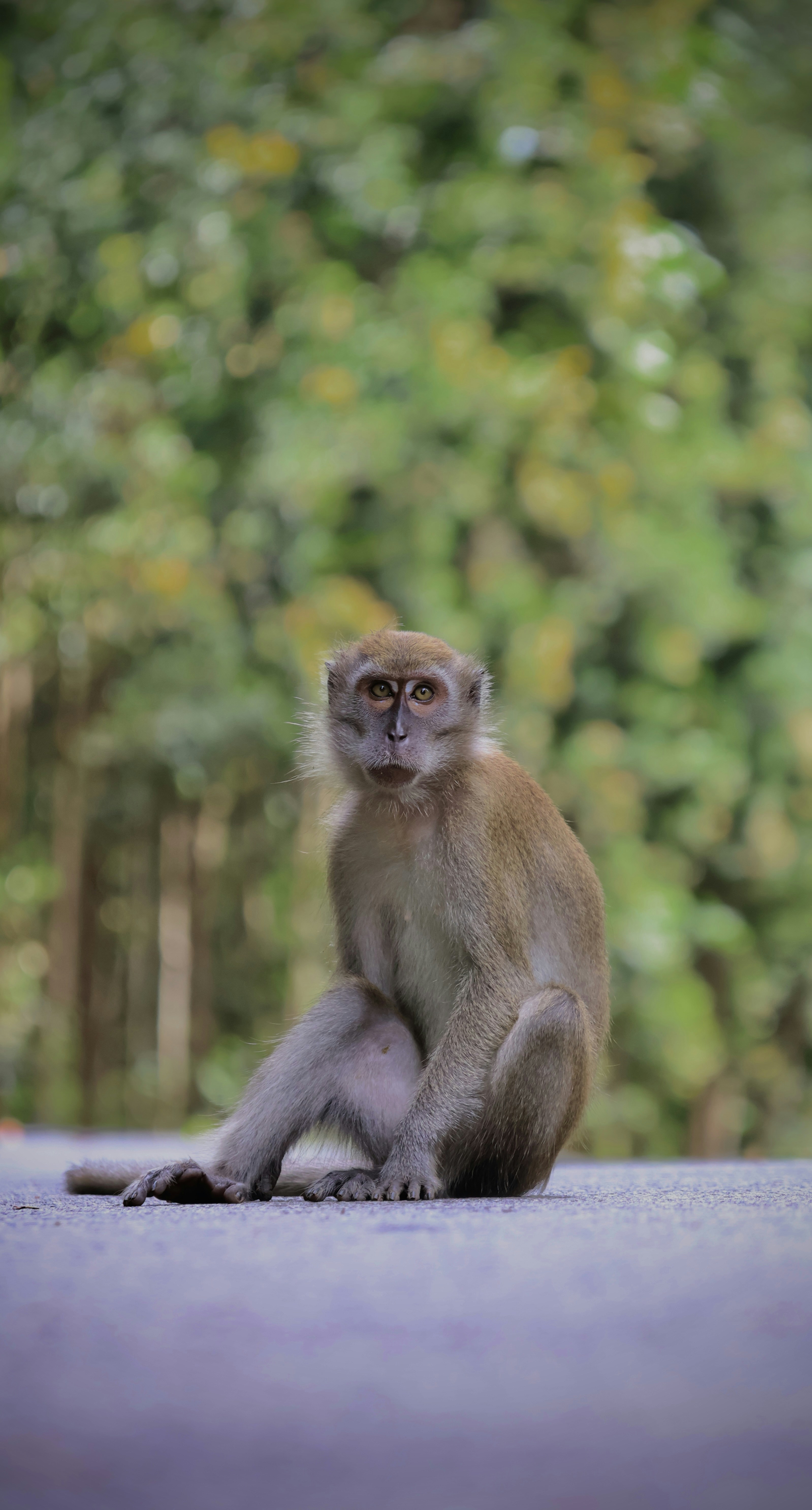 Photo by horseratbros