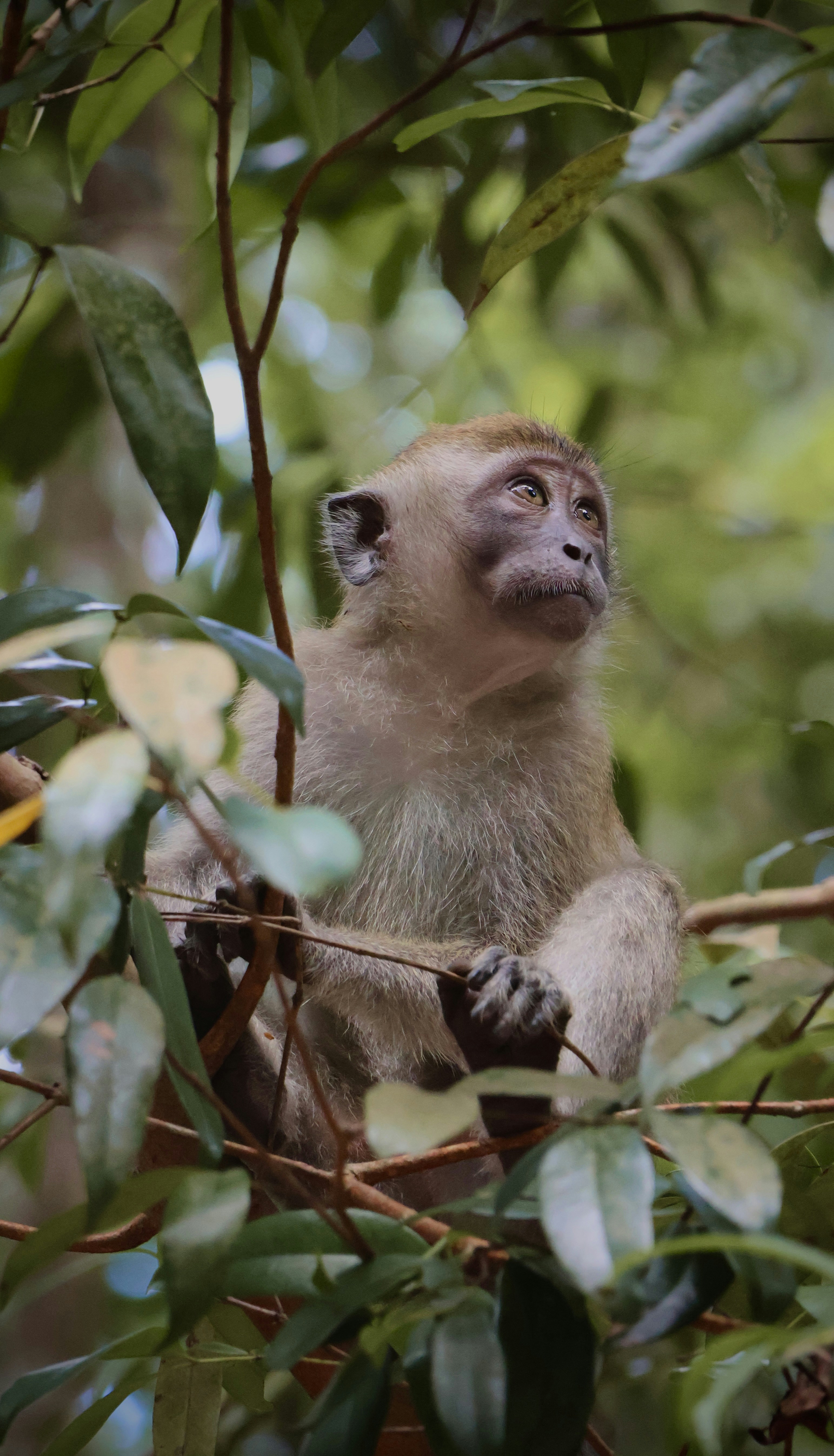 Photo by horseratbros