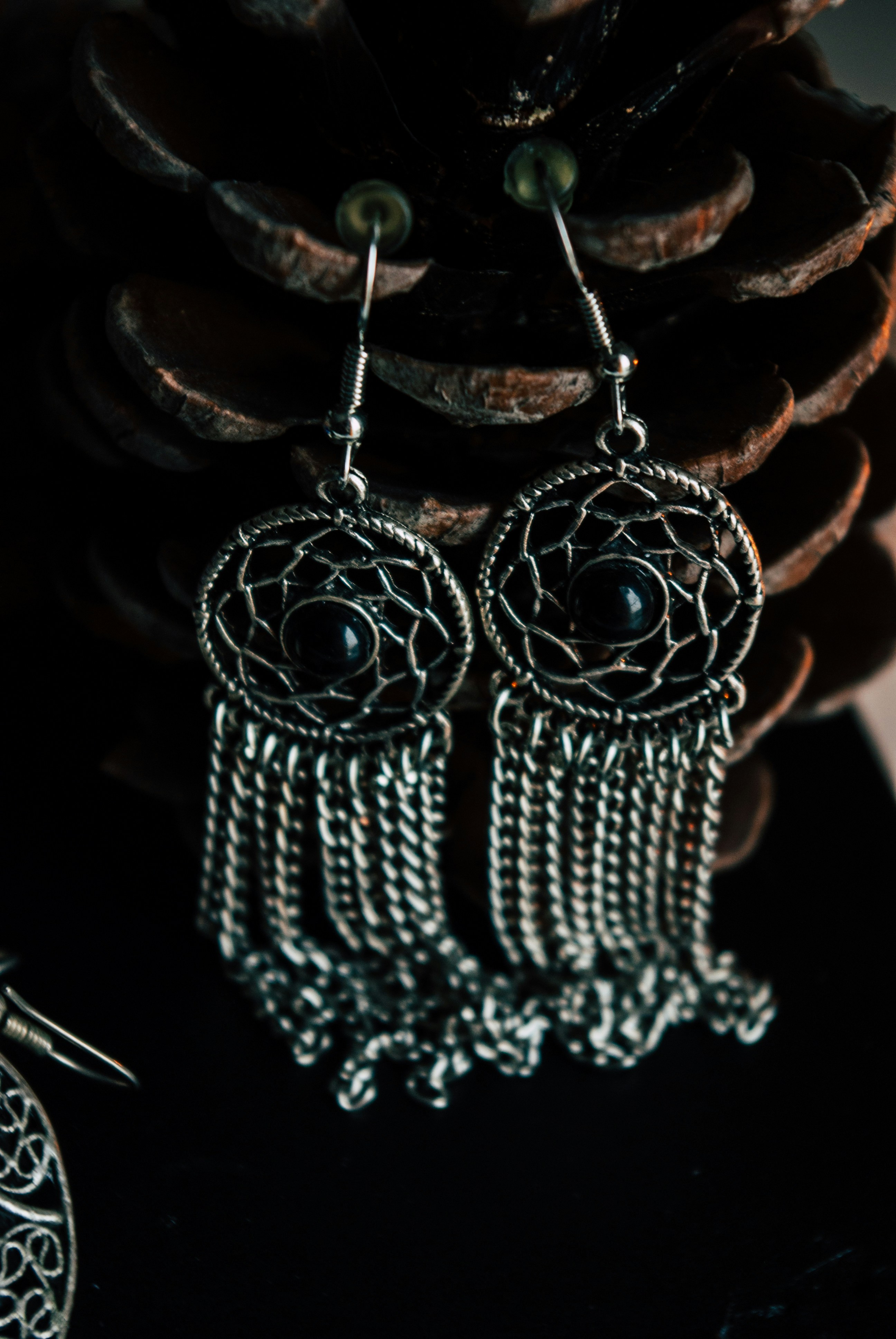 Photo by moonmoons_days